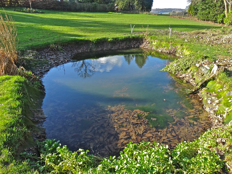 how to drain a garden pond