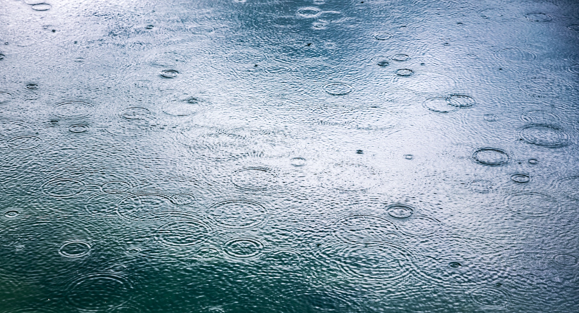 Abstract background, rain drops on the water