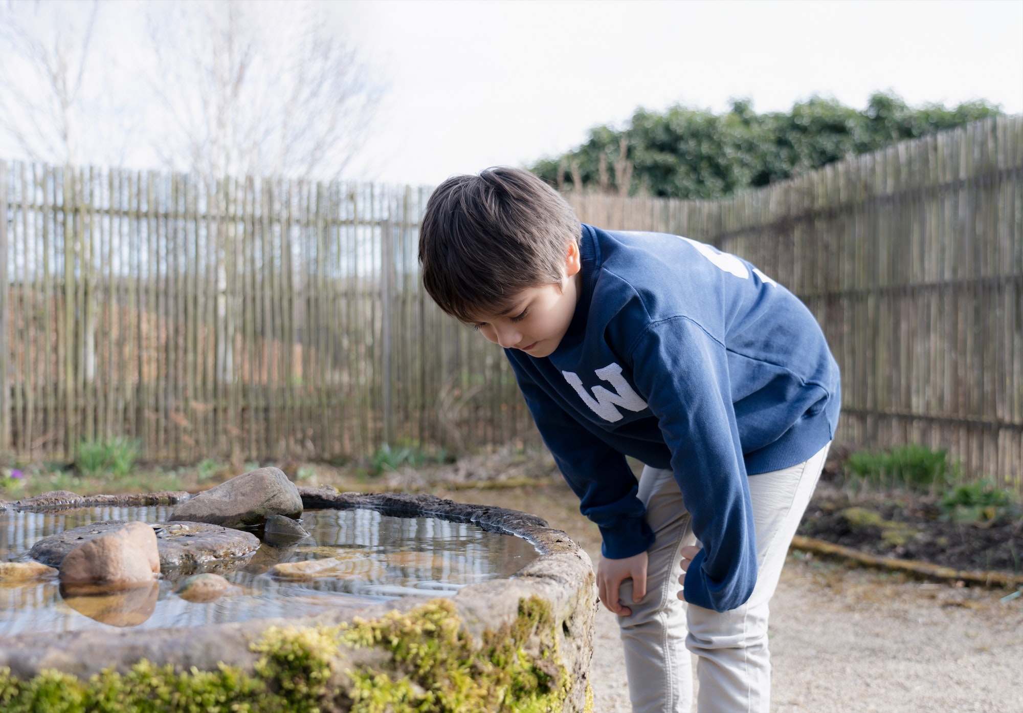Kid looking at pond wildlife in garden, Boy watching creatures in fish pond in sunny day Spring,